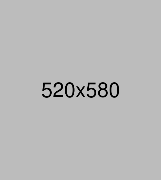 Portfolio Details Img