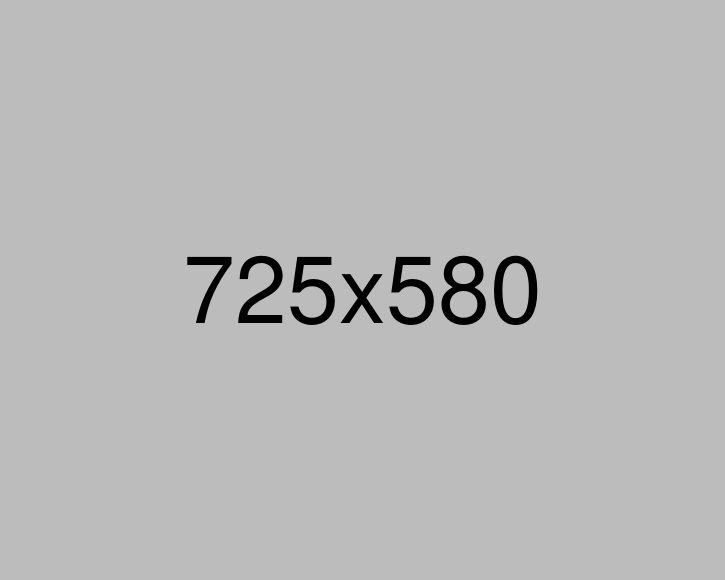 Portfolio Details Img