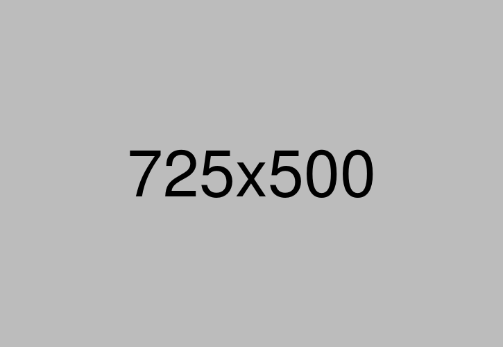 Portfolio Details Img