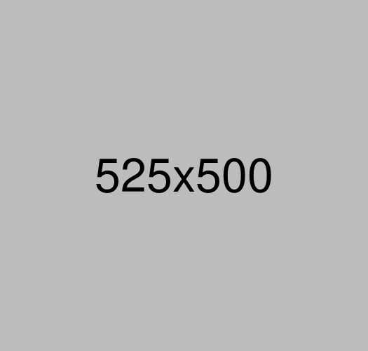 Portfolio Details Img